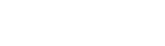 image of premier infotech white logo